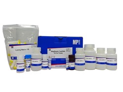 MP BIOMEDICALS&nbsp;MagBeads FastRNA Kit for Feces 5 Preps